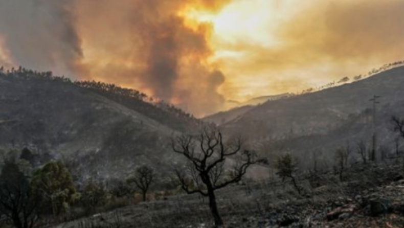 Ο καύσωνας «σαρώνει» την Ευρώπη: Πάνω από 740 πυροσβέστες δίνουν «μάχη» στην Πορτογαλία (vid)