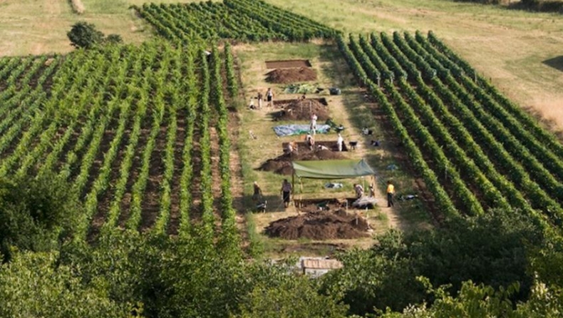 Το αρχαιότερο τυρί της Μεσογείου, μάλλον ήταν φέτα