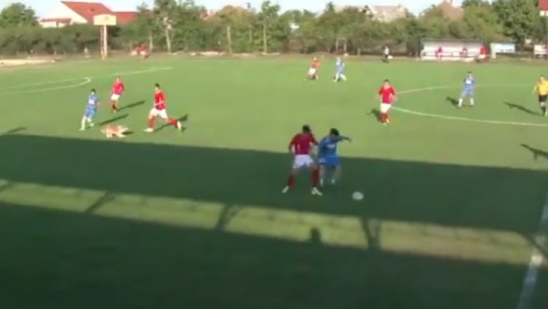 Απίθανο! Σκύλος τραυμάτισε παίκτη εντός γηπέδου (vid)