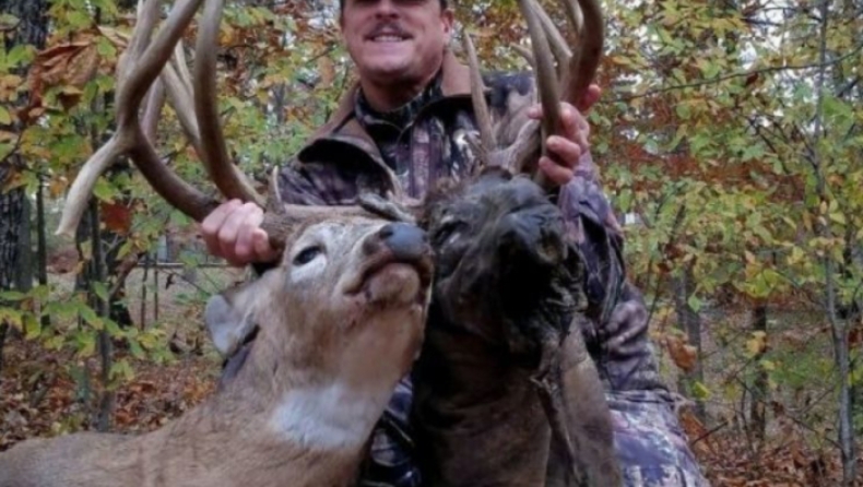 Μουμιοποιημένο κεφάλι ελαφιού βρέθηκε καρφωμένο στα κέρατα ανταγωνιστή του (pics & vid)
