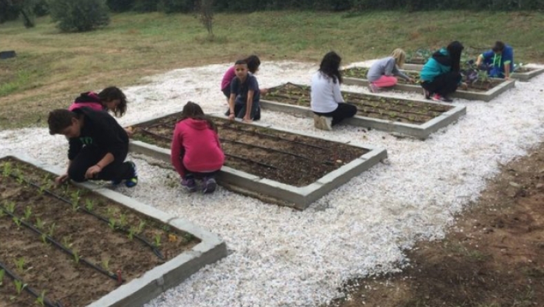 Η εφορία επέβαλε φόρο επιτηδεύματος κι έκλεισε... λαχανόκηπο δημοτικού σχολείου (pics & vid)