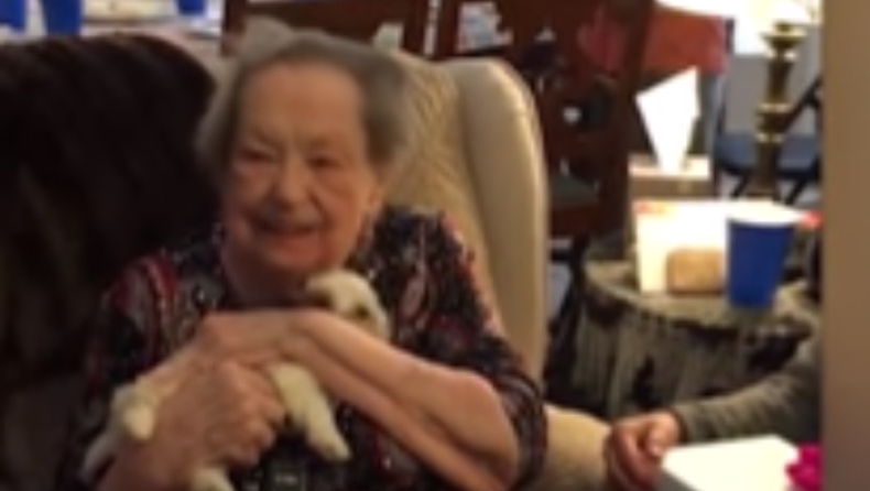 Η αξιολάτρευτη στιγμή που έκαναν δώρο - έκπληξη κουτάβι σε ηλικιωμένη (vid)