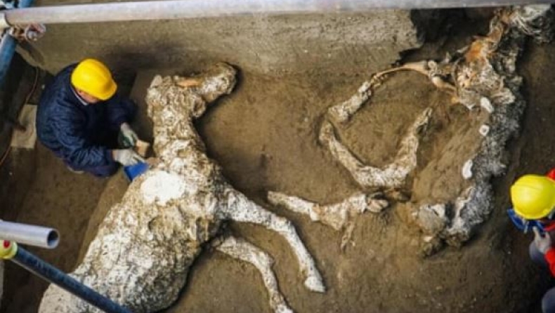 Αρχαιολόγοι βρήκαν πετρωμένα άλογα σε στάβλο στην Πομπηία (pics)