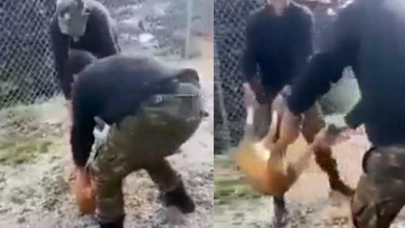 Στα «μαλακά» οι στρατιώτες που πέταξαν σκύλο από γκρεμό στα Ιωάννινα