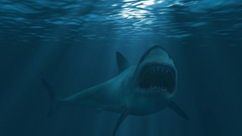Νέα επίθεση καρχαρία στην Αυστραλία: Σοβαρά τραυματίας 36χρονος σέρφερ