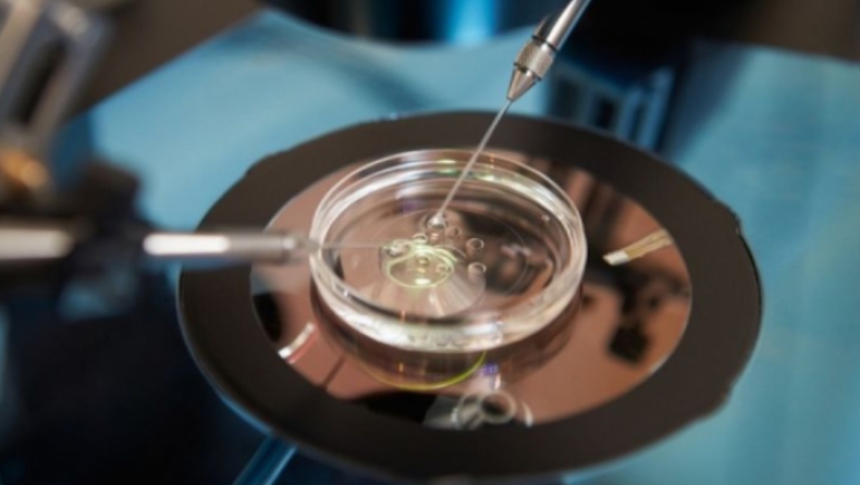 Ανοίγει ο δρόμος για μεταθανάτια τεχνητή γονιμοποίηση χωρίς την έγκριση του νεκρού συζύγου