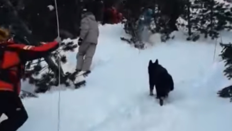 Χιονοστιβάδα καταπλάκωσε τουρίστες στο Μπάνσκο: Δύο νεκροί (vid)