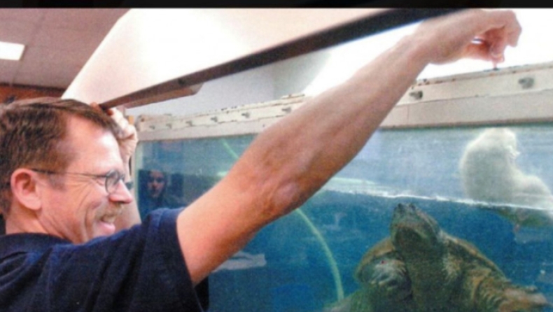 Aθωώθηκε ο καθηγητής Βιολογίας που είχε ταΐσει ζωντανό κουτάβι σε θαλάσσια χελώνα (pics & vid)
