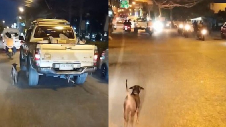 Εγκαταλελειμμένο σκυλάκι τρέχει για χιλιόμετρα πίσω από το αυτοκίνητο της οικογένειας που το παράτησε (pics & vid)