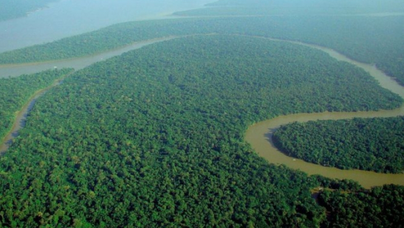 Kίνα και Ινδία δενδροφύτευσαν έκταση όσο το δάσος του Αμαζονίου μέσα σε δύο δεκαετίες (pics & vid)