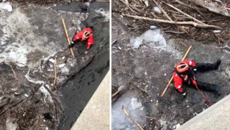 Η ηρωική προσπάθεια διασώστη για να σώσει ένα κουτάβι που είχε παγιδευτεί σε παγωμένο ποταμό (vid)