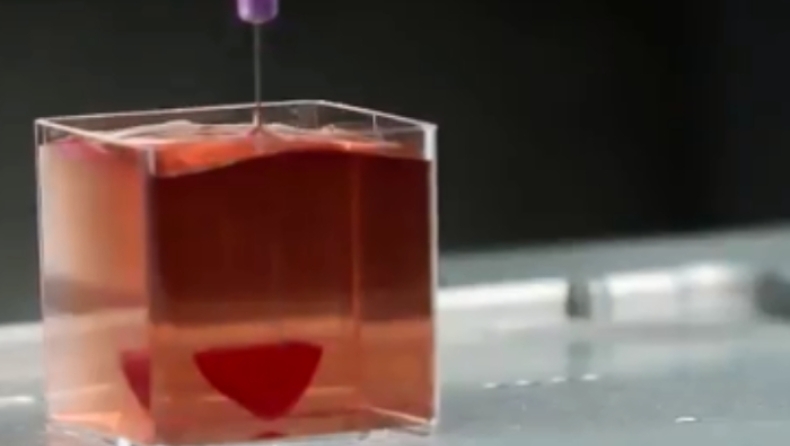 Επιστήμονες παρουσίασαν 3D εκτυπωμένη καρδιά από ανθρώπινο ιστό (vid)