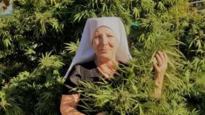 Καλόγριες βγάζουν 1 εκ. ευρώ το χρόνο πουλώντας κάνναβη (pics)