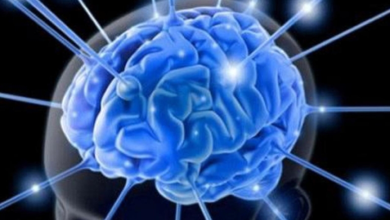 Επιστήμονες επανέφεραν την εγκεφαλική λειτουργία σε πειραματόζωα τέσσερις ώρες μετά το θάνατό τους