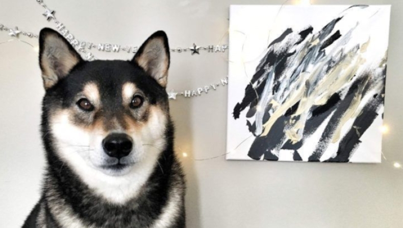 Ένας σκύλος που... ζωγραφίζει βγάζει χιλιάδες ευρώ από τα έργα του (pics & vid)