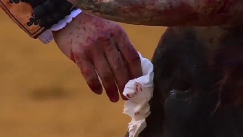 Σκληρές εικόνες: Ταυρομάχος σκουπίζει τα «δάκρυα» του θύματός του πριν το αποτελειώσει (vid)