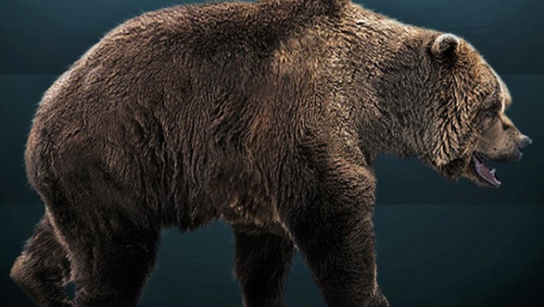 H προϊστορική αρκούδα των σπηλαίων ζούσε και στην Ελλάδα κι έφτανε σε ύψος τα 2,5 μέτρα (pics)