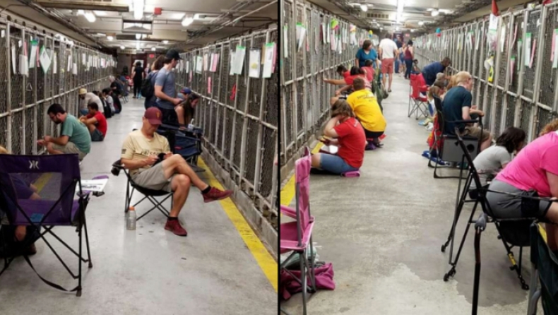 Χιλιάδες εθελοντές θα κάνουν παρέα σε αδέσποτα σκυλιά κατά τη διάρκεια των πυροτεχνημάτων για την 4η Ιουλίου (pics & vid)