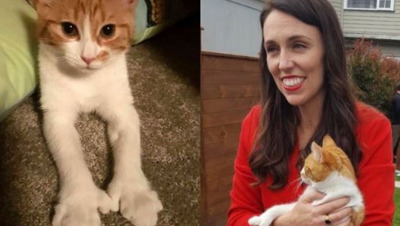 Ομολόγησε ο άνθρωπος που σκότωσε κατά λάθος την γάτα της πρωθυπουργού της Ν. Ζηλανδίας