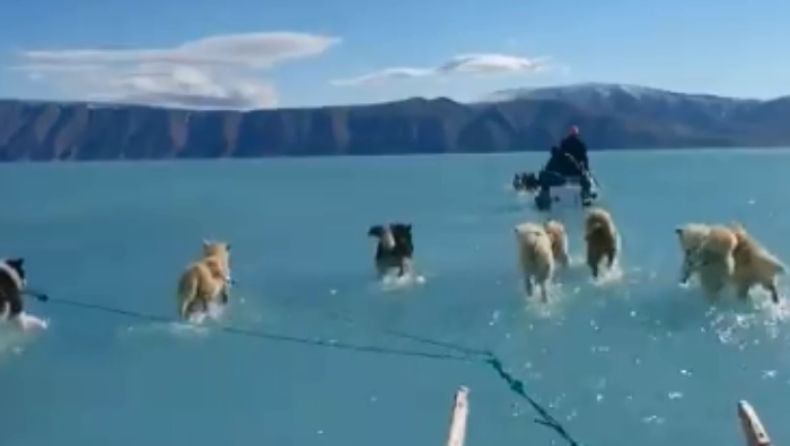 Το βίντεο από τα σκυλιά που έσερναν έλκηθρο την ημέρα που η Γροιλανδία έχασε μεγάλη ποσότητα πάγων (vid)