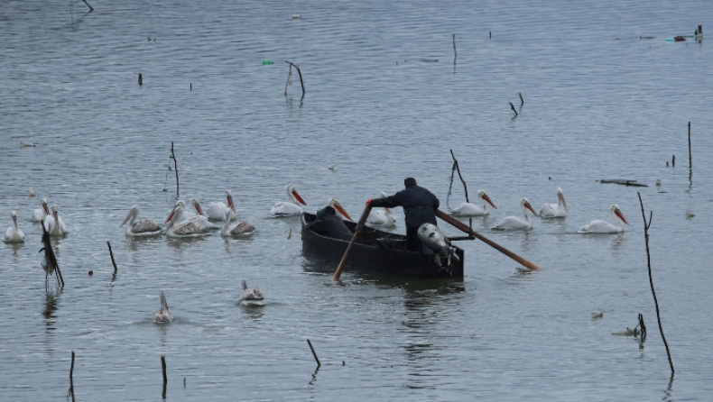 Νεαροί εθελοντές καθαρίζουν τη λίμνη Κερκίνη