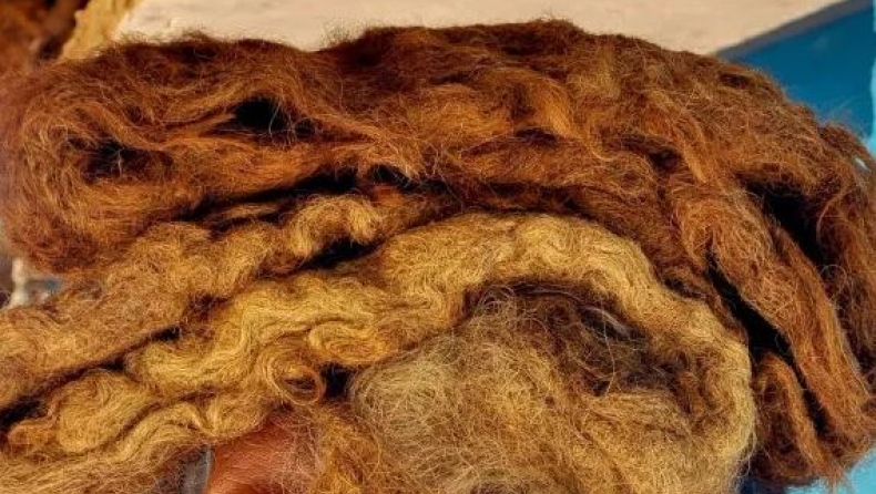 Ένας 63χρονος έχει να πλύνει τα μαλλιά του 40 χρόνια, έχοντας ράστα που φτάνουν τα 2 μέτρα (pics)
