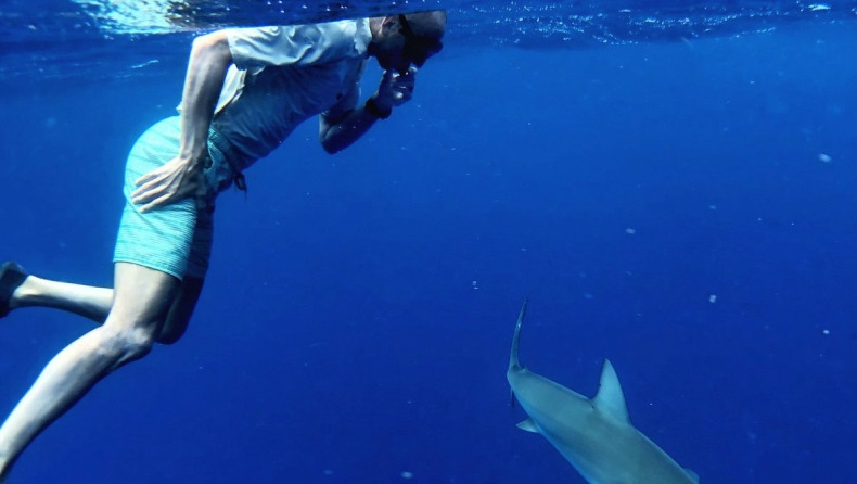 Παρέα με τους καρχαρίες ο Τζινόμπιλι! (pic)