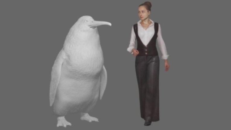 Ανακαλύφθηκε νέο είδος προϊστορικού πιγκουίνου με μέγεθος... ανθρώπου (pics)