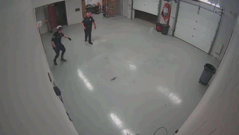 Αστυνομικοί δίνουν «μάχη» με σκίουρο για να τον βγάλουν από γκαράζ (vid)