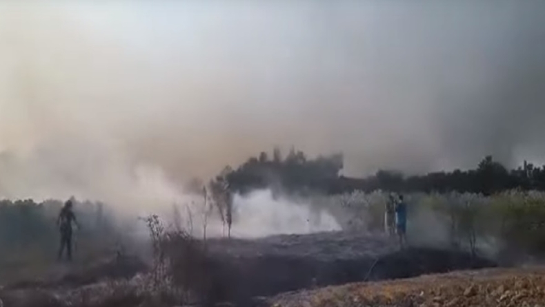 Φωτιά στη νότια Κέρκυρα: Εκκενώθηκαν δύο χωριά (vid)