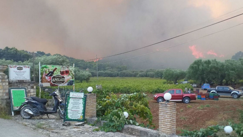 Ολονύχτια μάχη της Πυροσβεστικής στην Ζάκυνθο: Κάηκαν δύο σπίτια (vids)