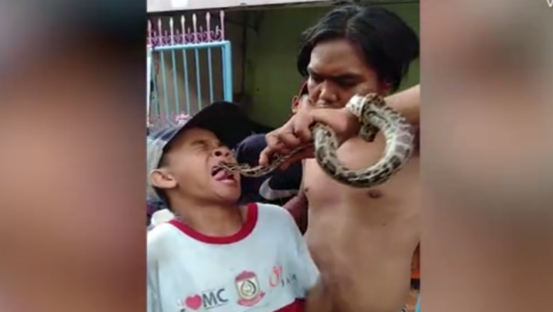 Η στιγμή που φίδι δαγκώνει τη γλώσσα ενός αγοριού (vid)