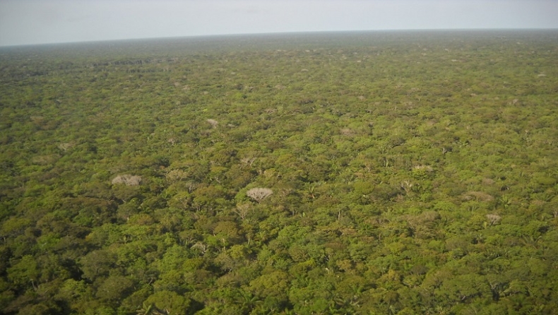 Μελέτη της NASA αποκαλύπτει και προειδοποιεί: Ο άνθρωπος «στεγνώνει» τον Αμαζόνιο