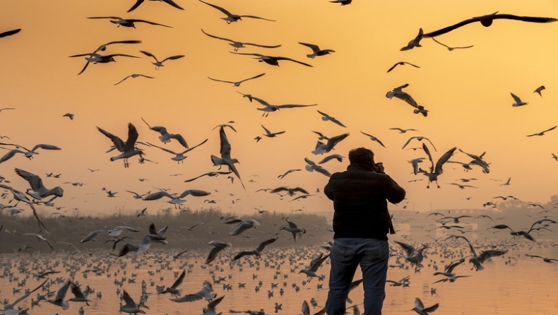Φωτογράφος τρελαίνει το Instagram χρησιμοποιώντας την τέχνη της χρονοφωτογραφίας για να απαθανατίσει σμήνη πουλιών (pics)