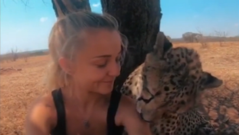 Μια 21χρονη δουλεύει σε καταφύγιο άγριων ζώων και δηλώνει ευτυχισμένη δίπλα τους (vid)