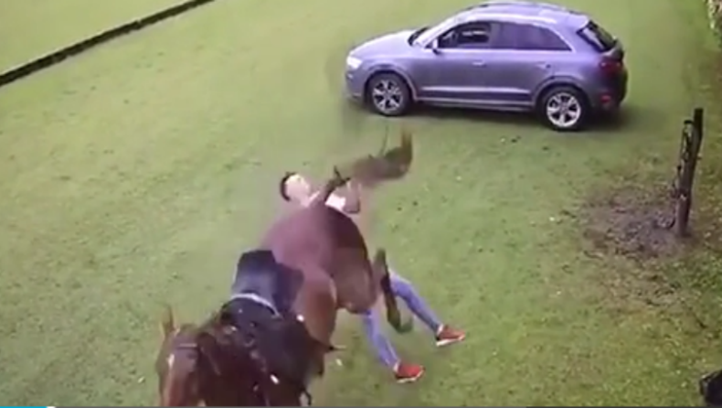 Η στιγμή που άλογο κλωτσάει έναν άνδρα στο πρόσωπο με τα πίσω πόδια (vid)