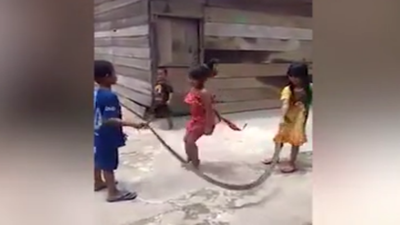 Τρία παιδιά χρησιμοποίησαν νεκρό φίδι για να παίξουν σχοινάκι! (vid)