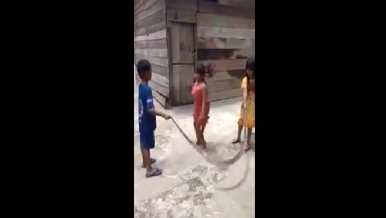 Παιδάκια κάνουν σκοινάκι με τεράστιο νεκρό φίδι (vid)