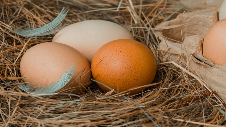 Το πείραμα του όρθιου αυγού έγινε viral λόγω της έκλειψης του Ηλίου