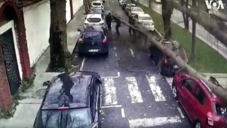 Κωνσταντινούπολη: Τεράστιο δέντρο πέφτει στον δρόμο και περαστικοί γλιτώνουν από θαύμα (vid)