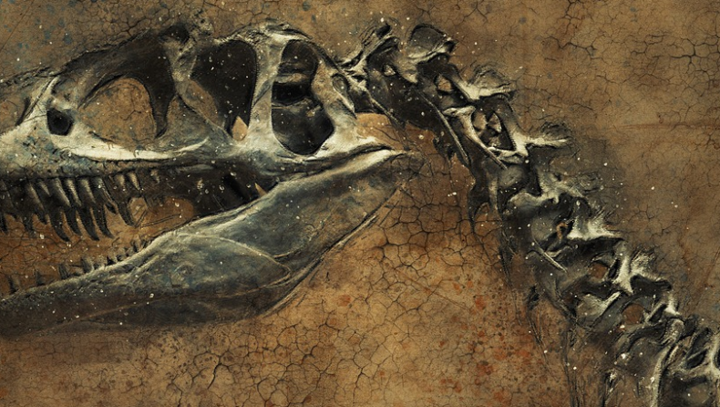 Βρέθηκε απολιθωμένη ουρά δεινοσαύρου που ήταν «κρυμμένη» σε βράχια για 125 εκατ. χρόνια!