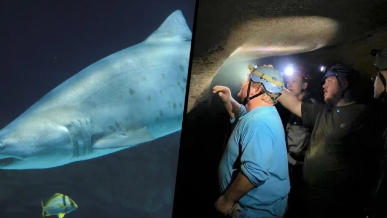 Βρέθηκαν δόντια καρχαρία 330 εκατομμυρίων ετών σε σπηλιά που απέχει 629 χλμ από θάλασσα (pics & vid)