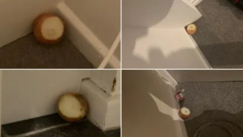 Κορονοϊός: Μητέρες βάζουν κρεμμύδια σε κάθε γωνία του σπιτιού νομίζοντας ότι διώχνουν τον ιό (pics)