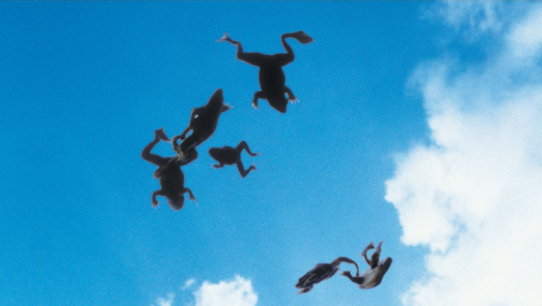 Δεν έπεσες τυχαία σε αυτό το άρθρο για το Magnolia