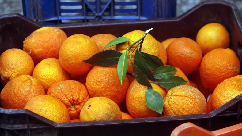 Οι Έλληνες εξαφανίζουν τα πορτοκάλια λόγω κορονοϊού (vid)