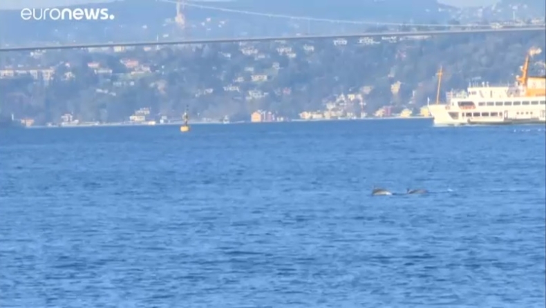 Κορονοϊός: Άδειες πόλεις στην Τουρκία και δελφίνια στον Βόσπορο (vid)
