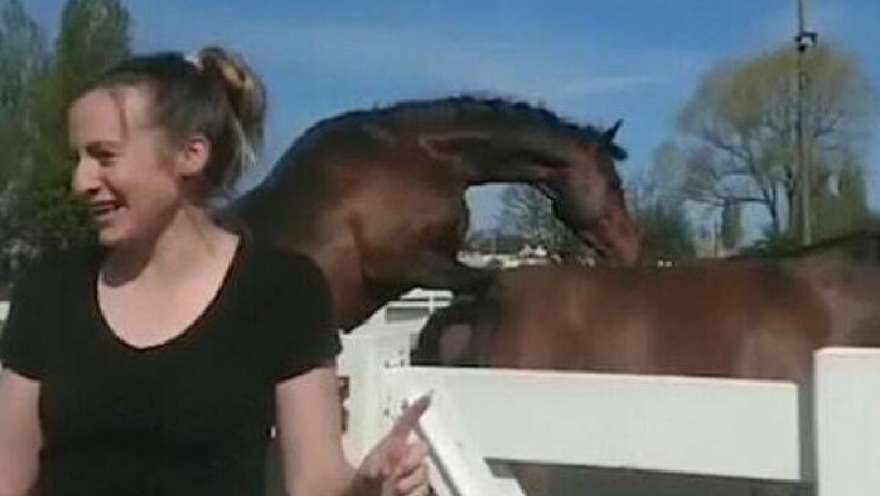 Έφτιαχνε video για τους μαθητές της, όμως τα άλογα είχαν ερωτική διάθεση (vid)
