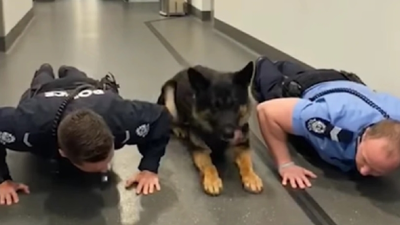 Σκύλος κάνει push-ups μαζί με αστυνομικούς (vid)
