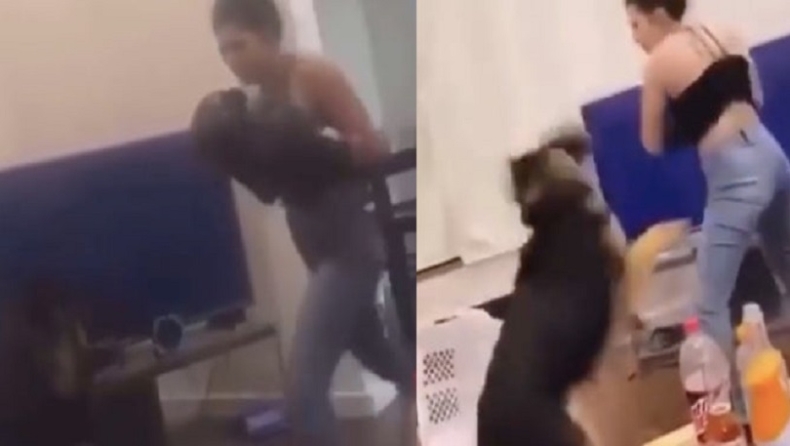 Γυναίκα ρίχνει μπουνιές με γάντια του μποξ σε σκύλο! (vid)