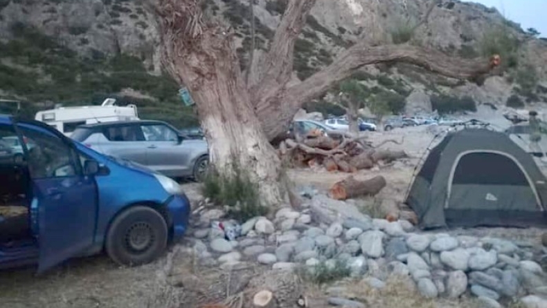 Μαγαζάτορες στην Κρήτη έκοψαν δέντρα για να μην πηγαίνουν κατασκηνωτές (pic)
